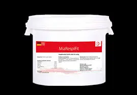 download - 2026-02-24T111632.780.webp