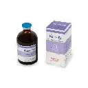 WhatsApp Image 2026-04-03 at 6.22.09 PM.webp