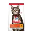 download - 2025-12-20T175522.402.webp