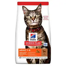 download - 2025-12-20T180239.774.webp