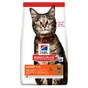 download - 2025-12-20T180239.774.webp