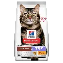 Hills-SP FELINE ADULT HAIRBALL&PERFECT COAT 1.5KG.webp