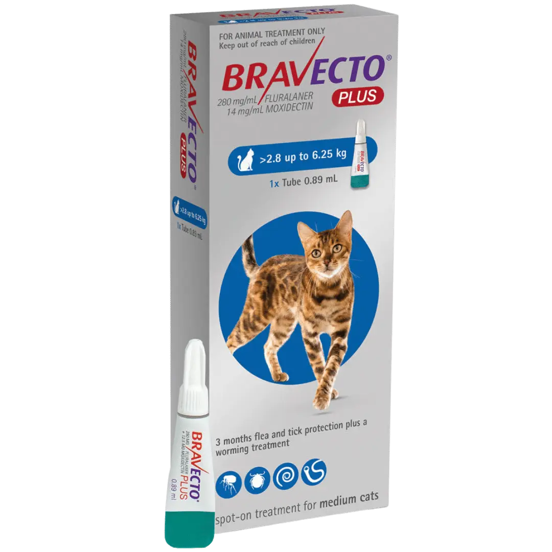 BRAVECTO PLUS CAT 250MG 2.8-6.25KG.webp