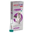 BRAVECTO PLUS CAT 500MG 6.25-12.5KG.webp