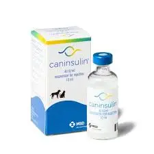 CANINSULIN 10ML 40IU-ML.webp