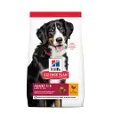Hills-SP CA. ADULT L. BREED CKN 14KG.webp