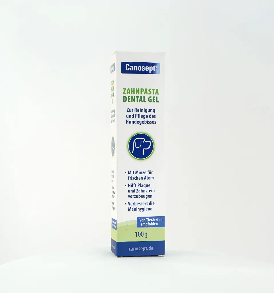 CANOSEPT DENTAL CARE TOOTHPASTE 100G.webp