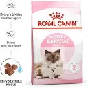 RC,MOTHER & BABYCAT 4KG.webp