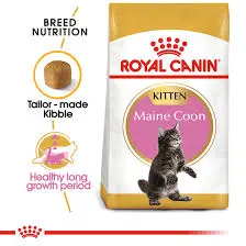 RC,Maine Coon Kitten 2kg.webp