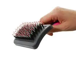 BUSTER PORCUPINE BRUSH M.webp