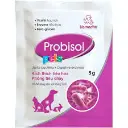 Probisol 5g sachet.webp