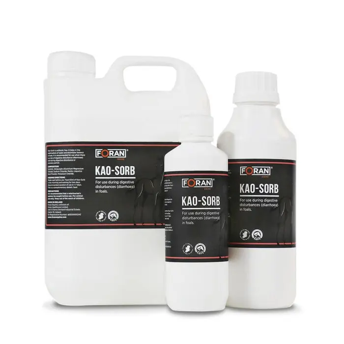 KAO SORB 240ML.webp
