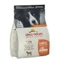HOLISTIC DOGS M-L LAMB 2KG.webp