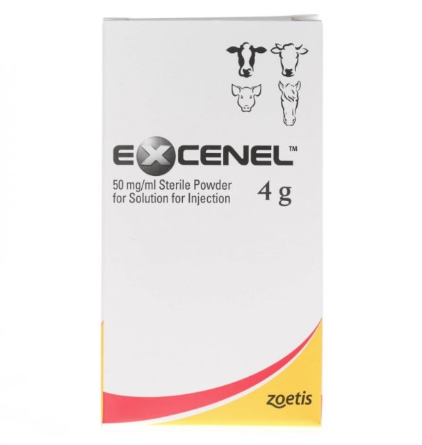 EXCENEL 4GM 50MLاكسينيل