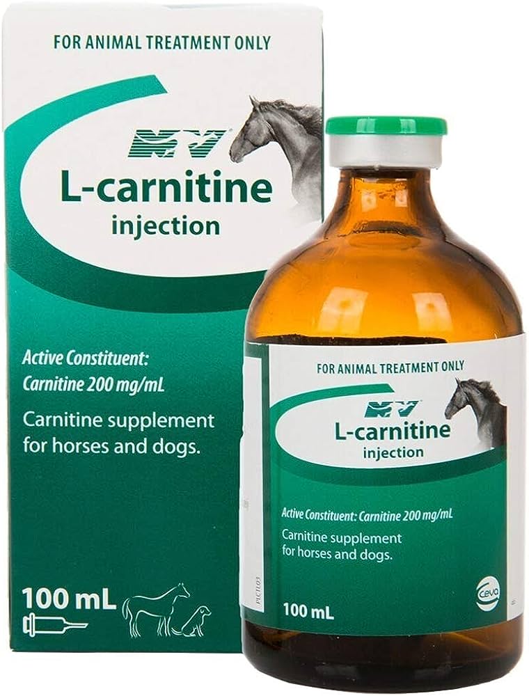 L-CARNITINE 100ML INJال كارنيتين