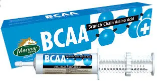 BCAA PASTE 60Gبي سي أأ بلس