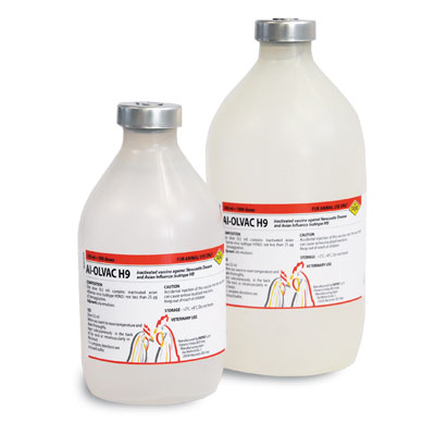 AI-OLVAC H9 500ml - 9 500الاولفاك ه مل زجاجة