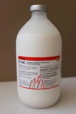 SET-VAC 500ML -سيتفاك