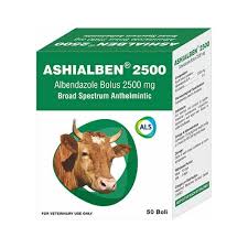 ASHIALBEN 2500 1/TABاشيالبين