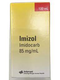 IMIZOL 100MLاميزول
