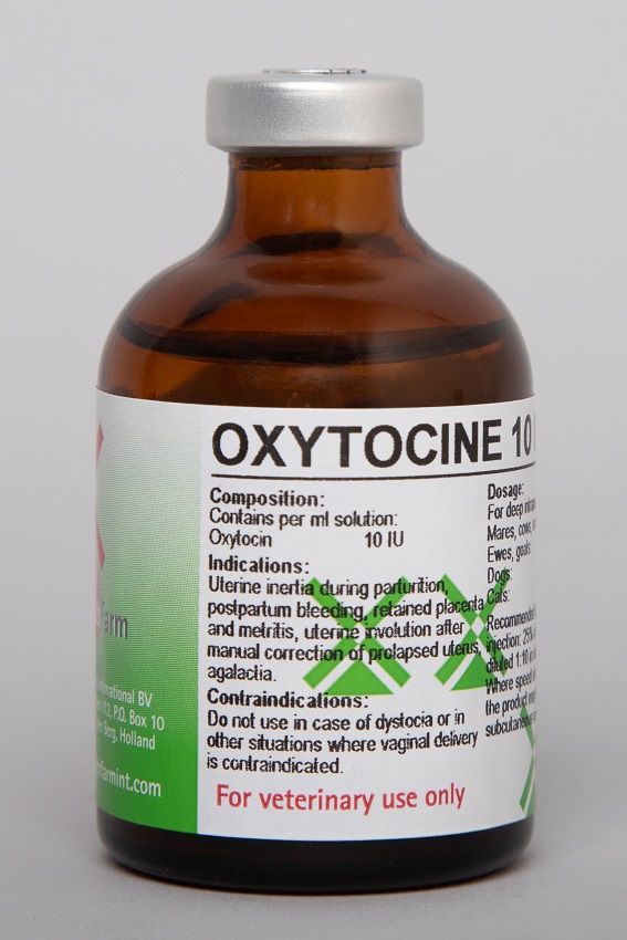 OXYTOCINE 10IU/50ML-DUTCHاوكسيتوسين