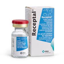 RECEPTAL 10MLريسيبتال