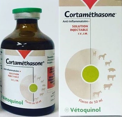 Cortamethasone 50mlكورتاميثازون