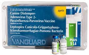 VANGUARD PLUS 5 LA فانجوارد بلس