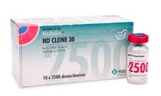 NOBILIS-ND CLONE 30 2500DSلقاح
