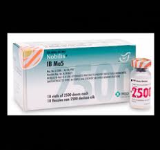 NOBILIS - MA5+CLONE 30 2500DSلقاح