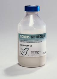 NOBILIS - ND BROILER 200MLإن دي برويلر