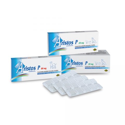 ARISTOS 10MG TABاريستوس