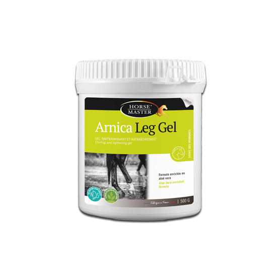 ARNICAارنيكا - LEG GEL 500 GR HM