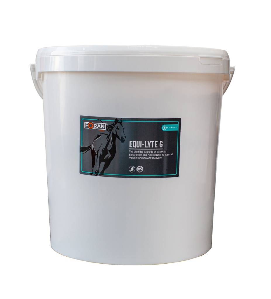 EQUI LYTE G 20KGايكوي لايت ج