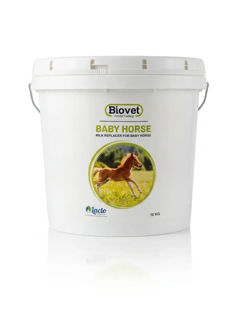 Baby Horse 10KG حليب الفلاوة  