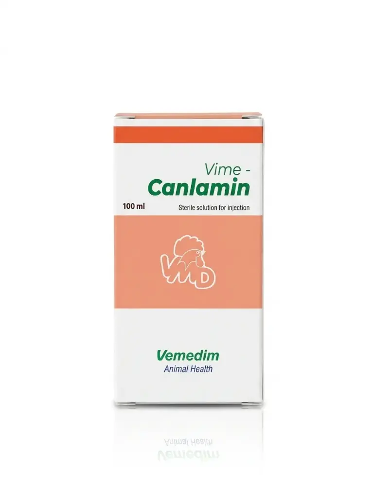 Canlamin 100mlفايم كانلامين