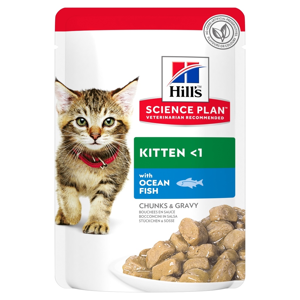 Hills-SP Ktn OF 85Gطعام للقطط الصغيرة