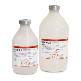 OLVAC B+G+R أولفاك