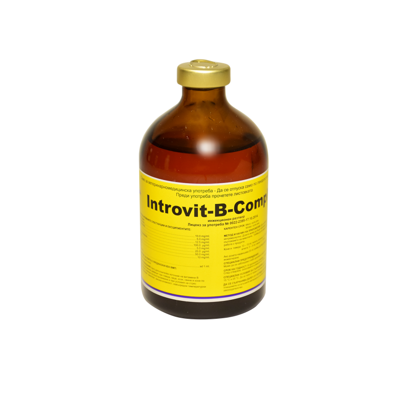 Introvit B-Complex 100mlانتروفيت بي كومبلكس