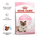 RC,MOTHER & BABYCAT 4KGالأم والطفل