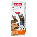 BEAPHER VITAMIN B 50ML بيفر فيتامين ب