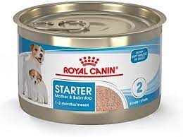 RC,STARTER MOUSSE WET FOOD CANS 195Gعلب طعام رطب مويس ستارتر