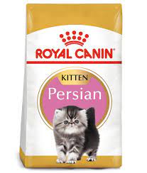 RC,PERSIAN KITTEN 2KGشيرازي هرة