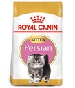 RC,PERSIAN KITTEN 2KGشيرازي هرة