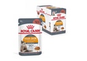 RC,HAIR & SKIN GRAVY WET FOOD 85Gالشعر والجلد