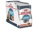 RC,URINARY CARE WET FOOD 85gالمسالك البولية