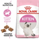 RC,KITTEN 4KGرويال كانين كيتن