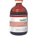 Ceptiket 100mlسيبتيكيت