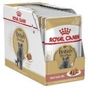 RC,British Shorthair Wet Food 85g بريتيش شورت هير