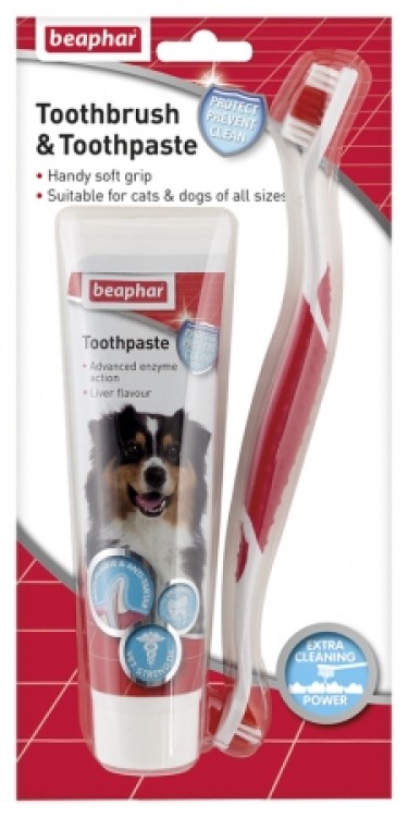 Toothbrush & Toothpaste Combipackفرشاة الأسنان